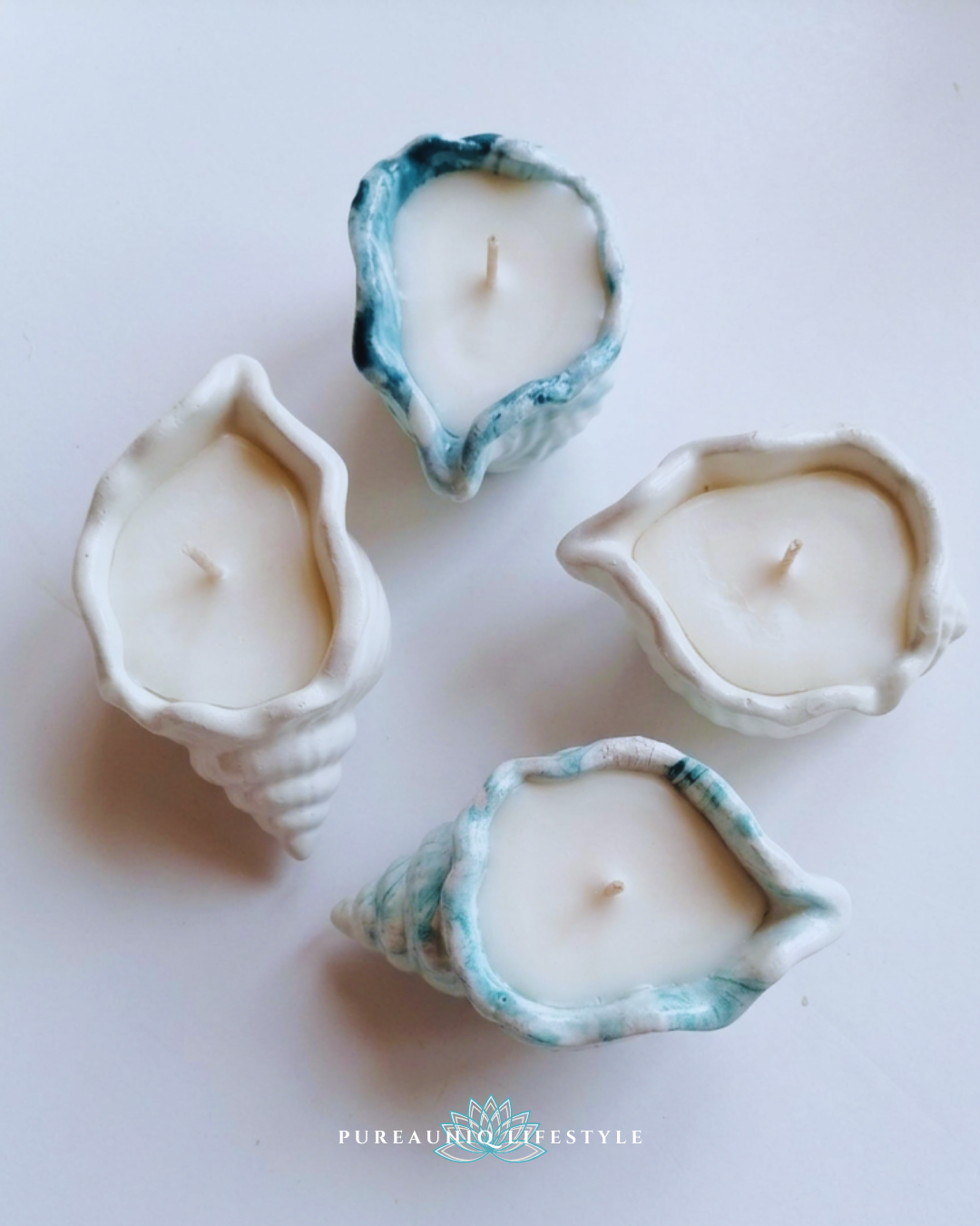 Sea Shell Candle
