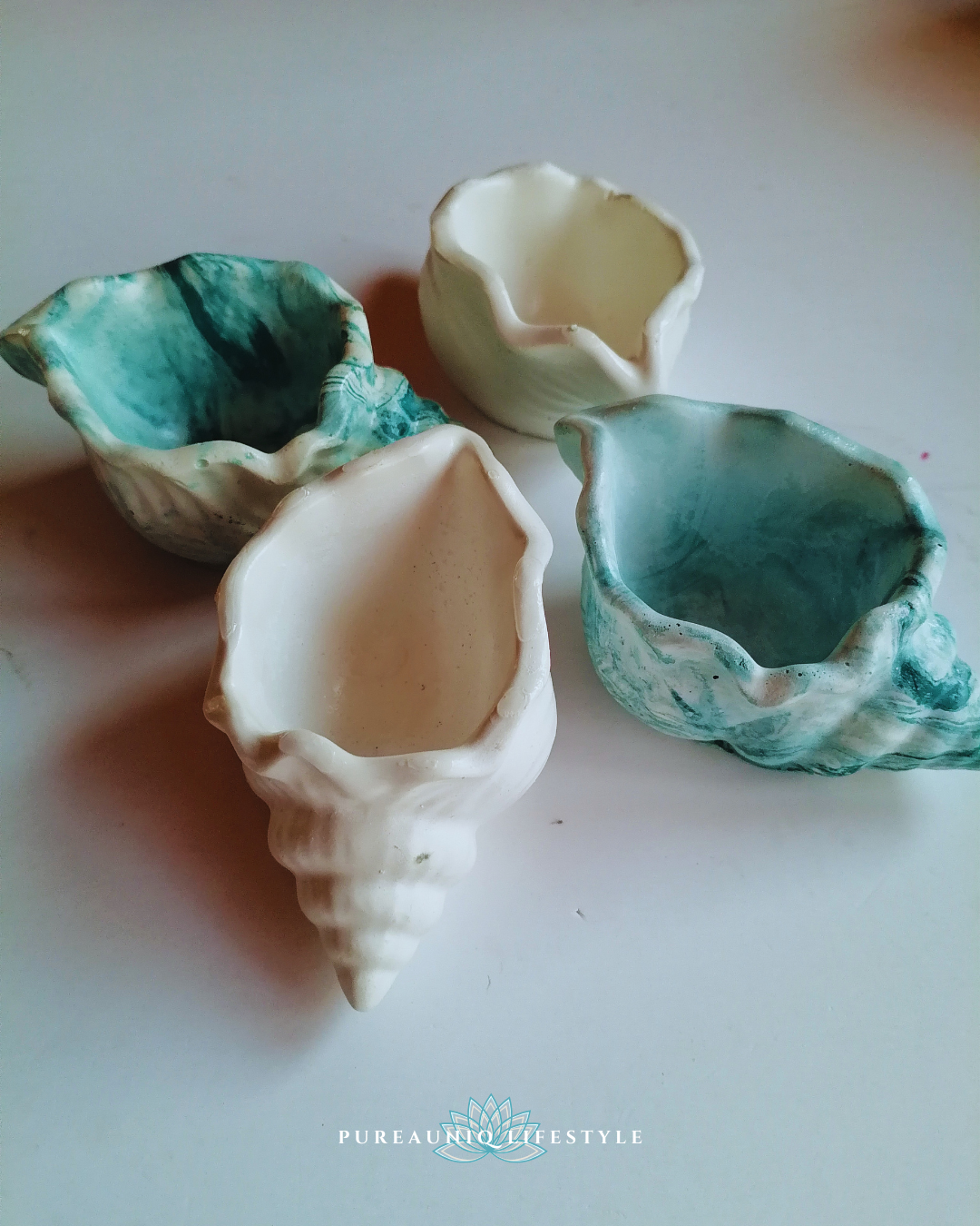 Seashell Holder