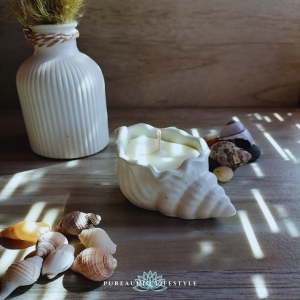 seashell, seashell candle, vessel candle, ocean inspired candle, ocean scented candle