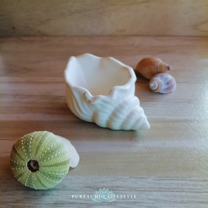 seashell holder, holder, home decor, ocean inspired home decor, ocean theme
